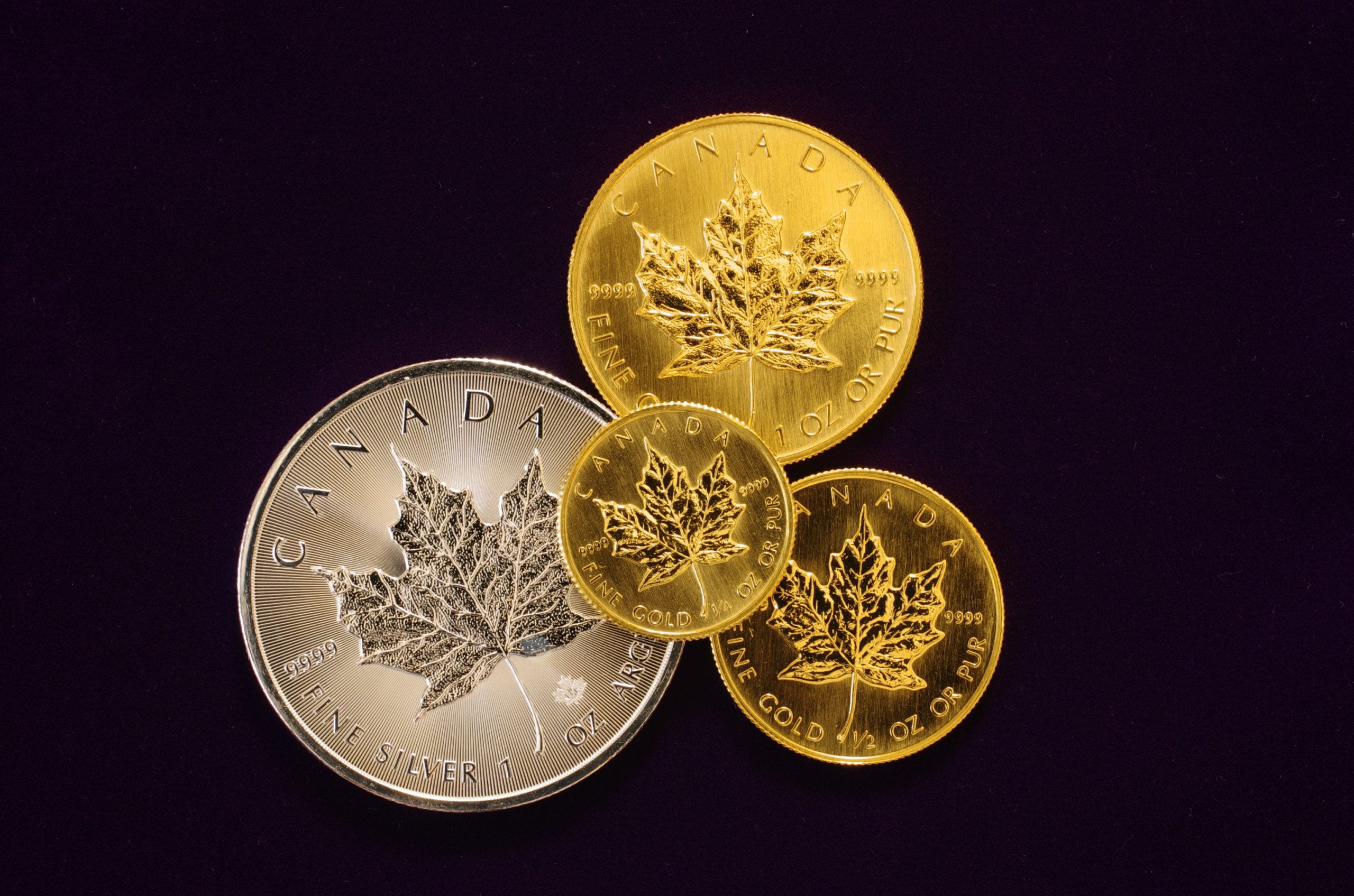 □□金貨 メイプルリーフ金貨 エリザベス カナダ 1989年 50ドル 1oz