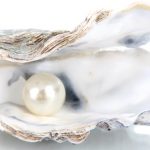 真珠の掃除・お手入れの正しい方法| 汚れの落とし方