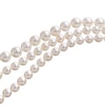 パールと真珠の違いとは？それぞれの特徴と真珠の種類を解説